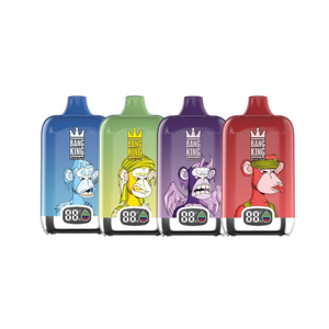 NICOPUFF BANGKING 4点セット お得なまとめ買い ノンニコチン使い捨てベイプ